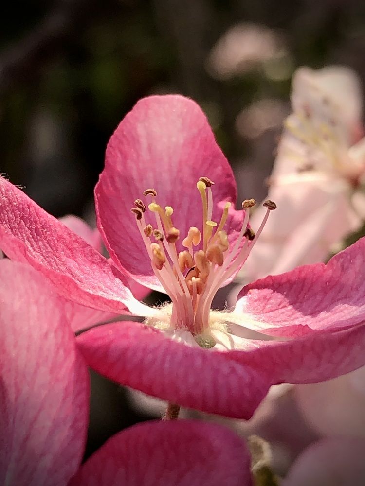 Фотография автора Евгения Елисеева