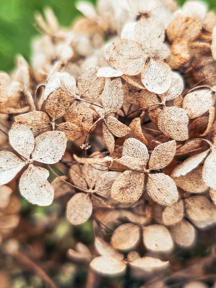 Фотография автора Ольга Шишук