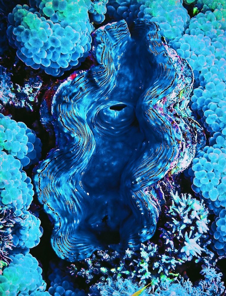 Photograph by Кирилл Леднев