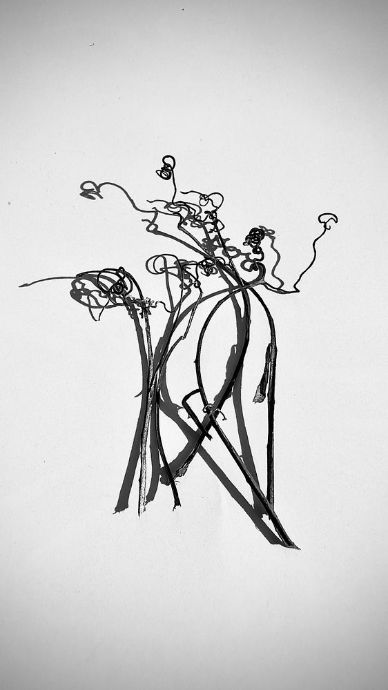 Photograph by Ксения Гуляева