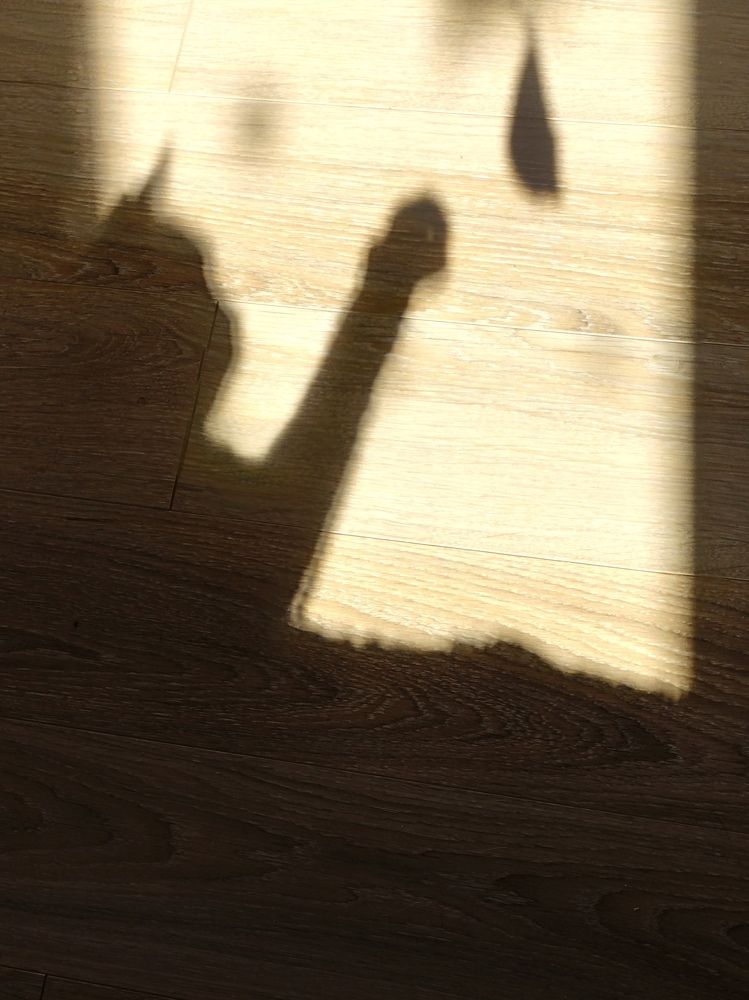 Photograph by Ия Дирко