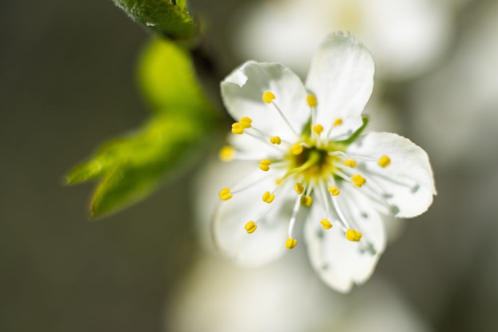Фотография автора Войнов Дмитрий