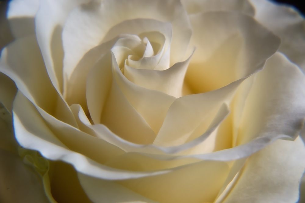 Фотография автора Юлия Кранина