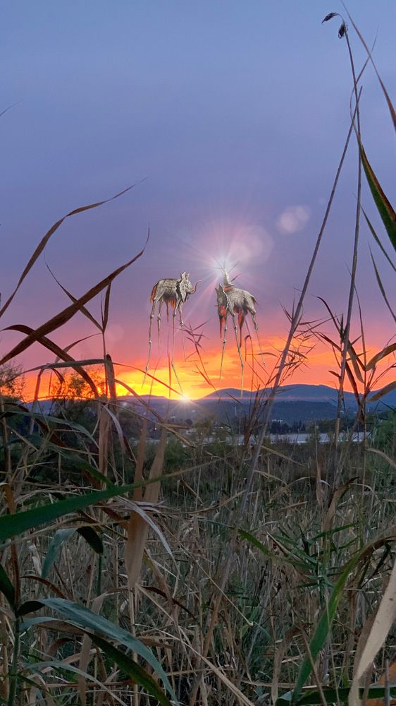 Photograph by Анастасия Мангольд