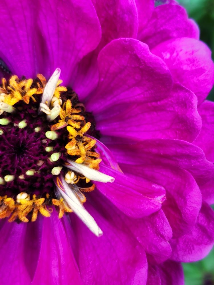 Photograph by Микка