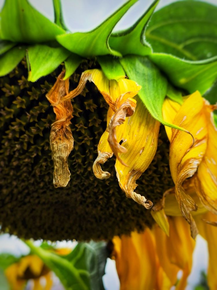 Photograph by Микка