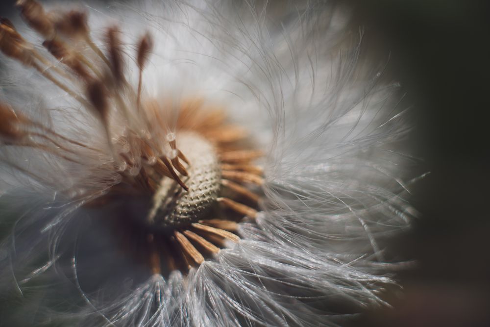 Фотография автора Войнов Дмитрий