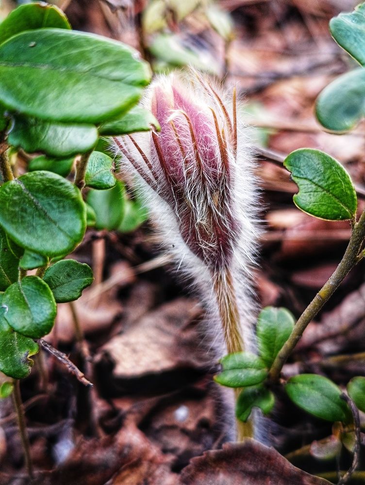 Photograph by Оксана Радзиевская