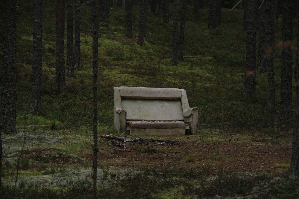 Фотография автора Анастасия Зверева