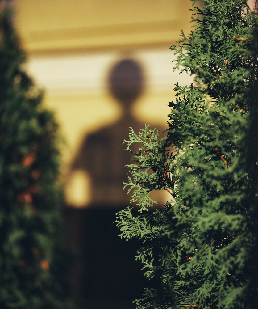 Фотография автора Глеб Колобаев