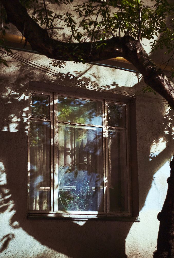 Фотография автора Глеб Колобаев