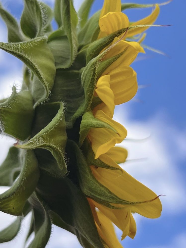 Photograph by Anna Tkacheva