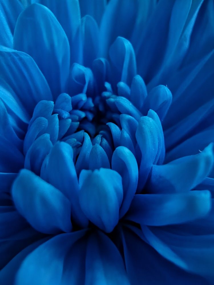 Photograph by Марина