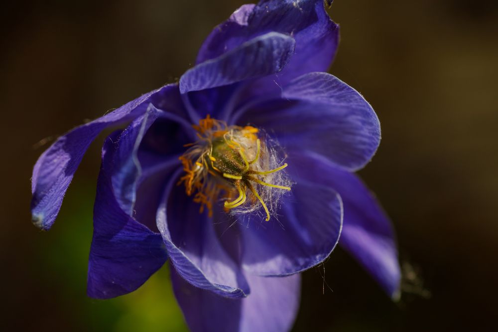 Photograph by Мария Казакова