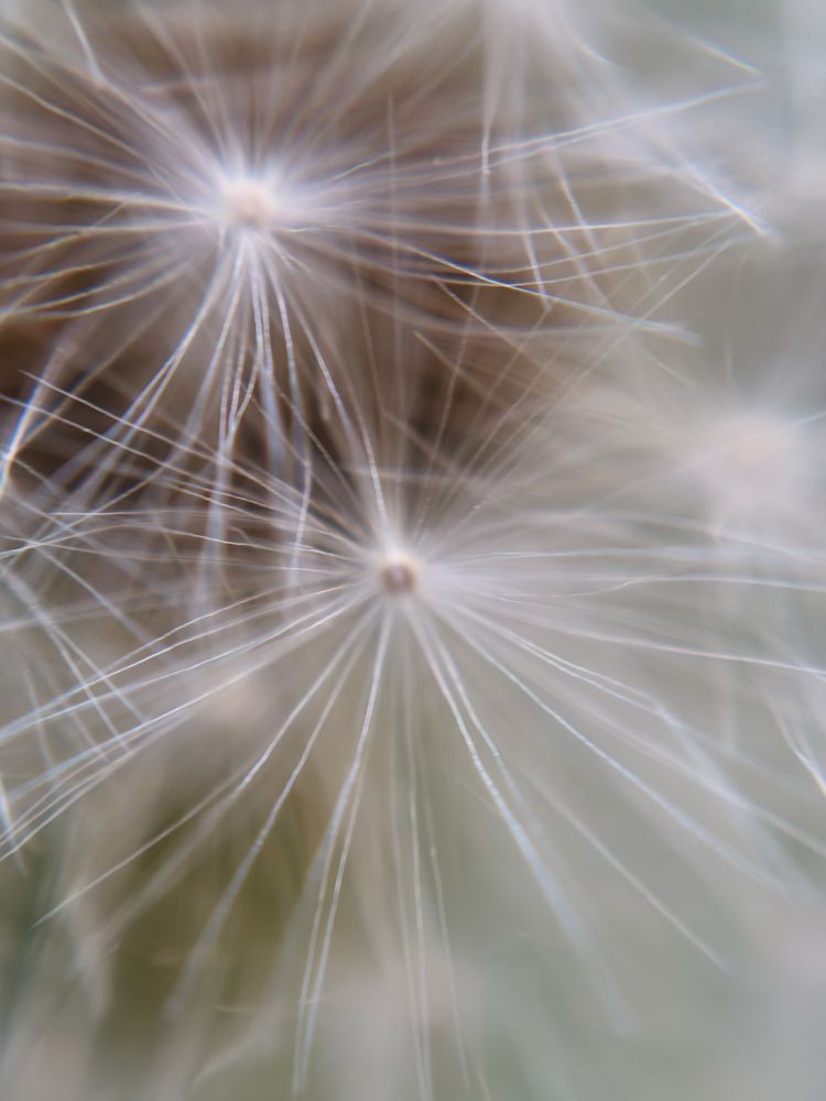 Photograph by Ирина Панкова