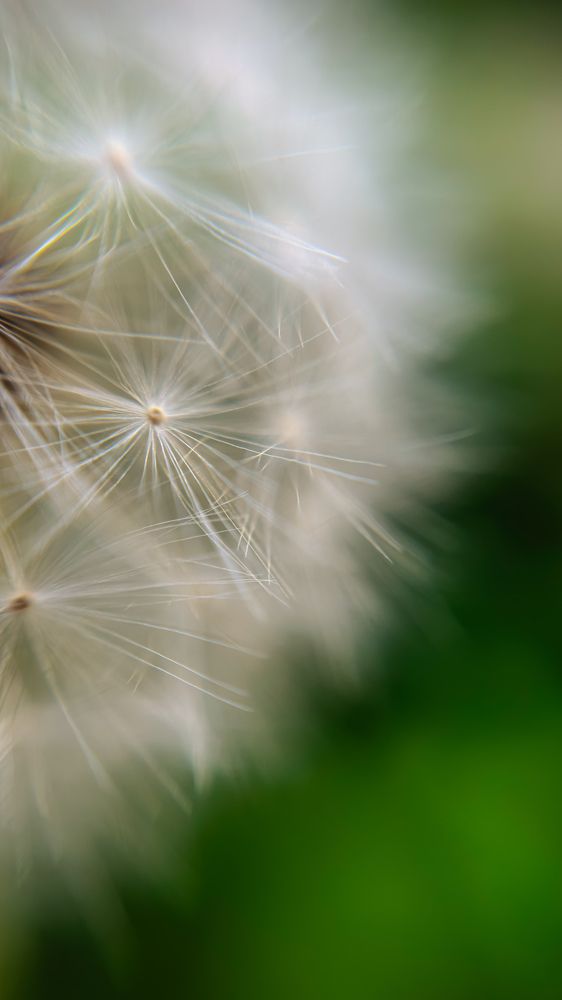 Photograph by Ирина Панкова