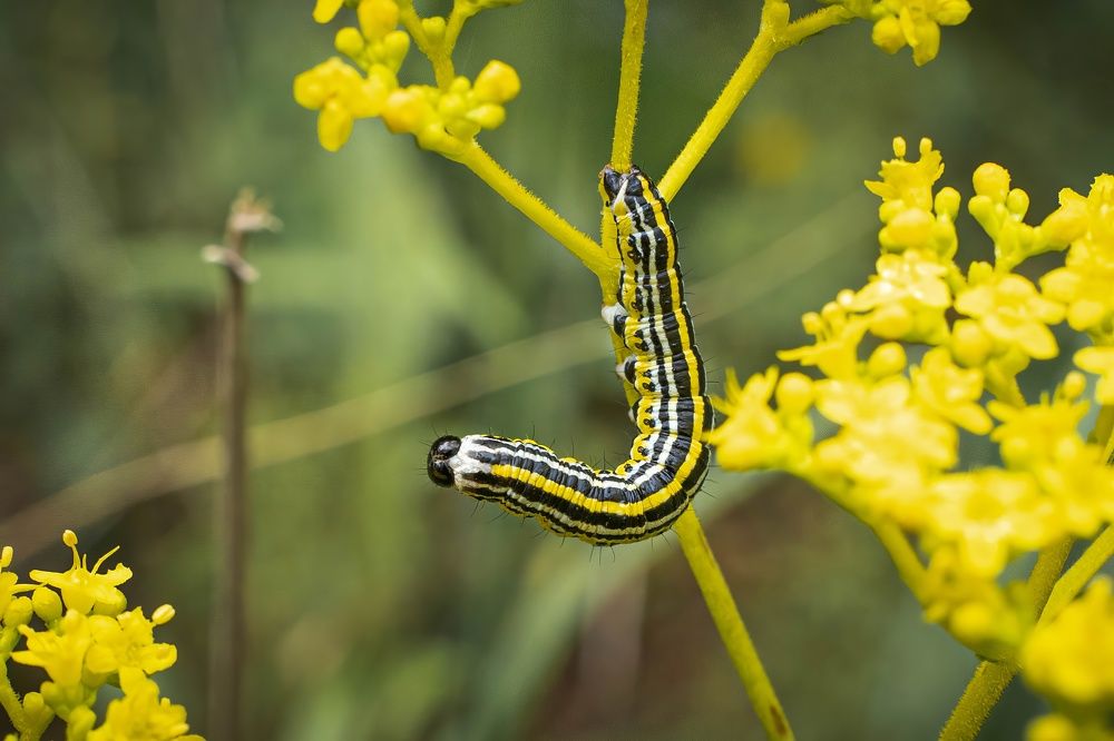 Photograph by Игорь Иванов