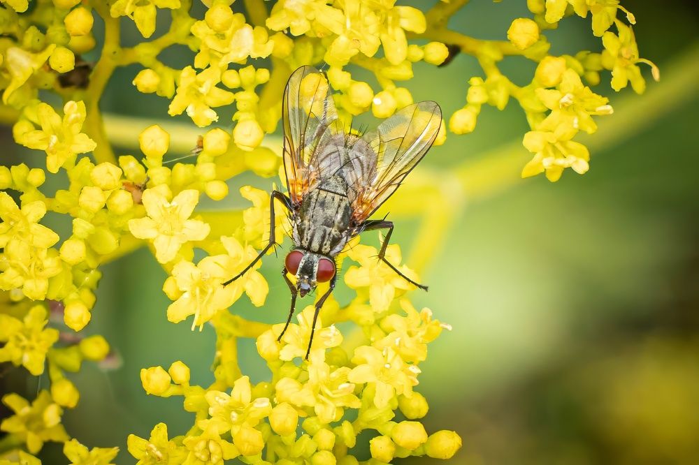 Photograph by Игорь Иванов