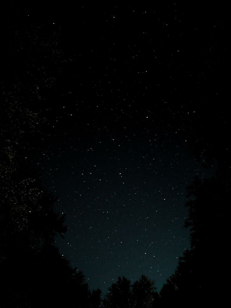 Фотография автора Алиса Исаева