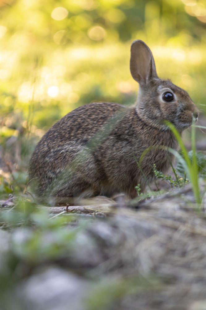 Photograph by Eric Dupuis