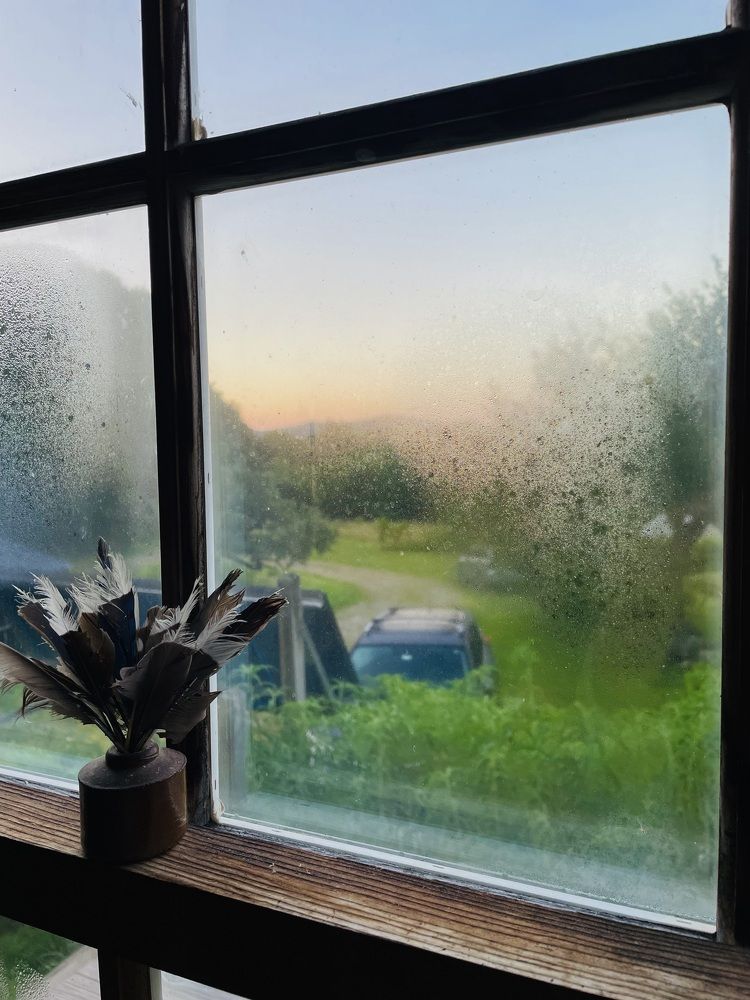 Фотография автора Olga Andriuc