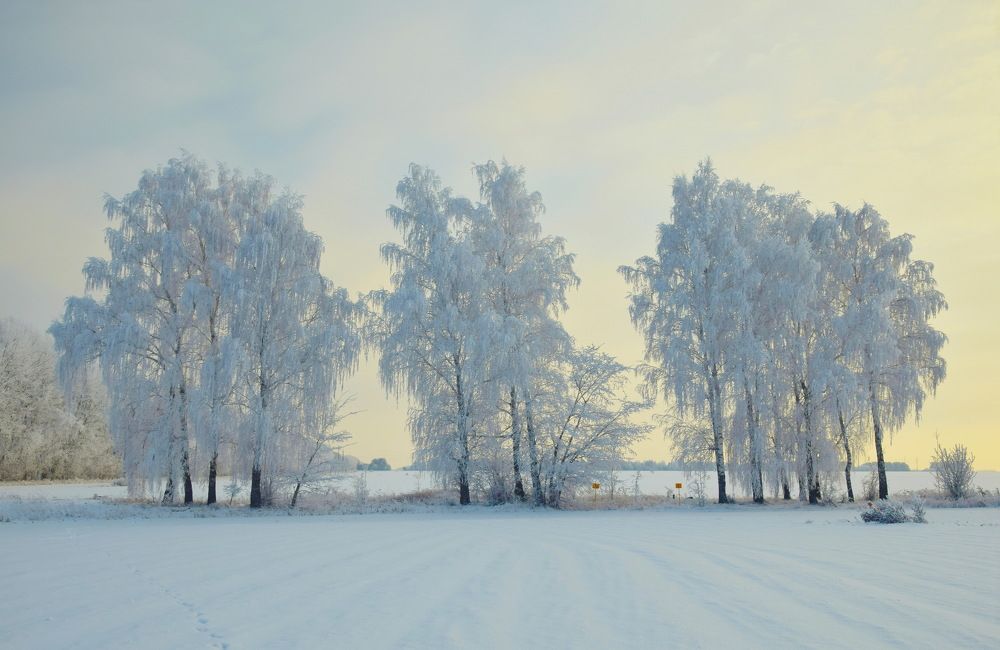 Photograph by Василий Быстрицкий
