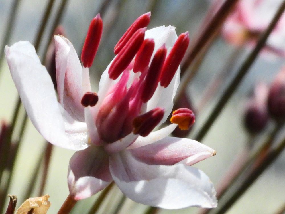 Фотография автора Владимир Соколов