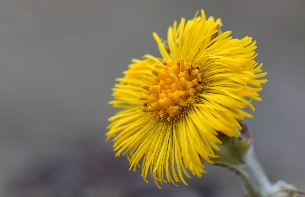 Фотография автора Владимир Соколов