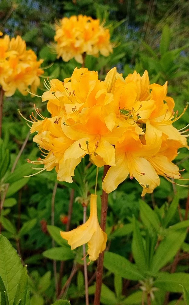 Photograph by Ирина Корнева