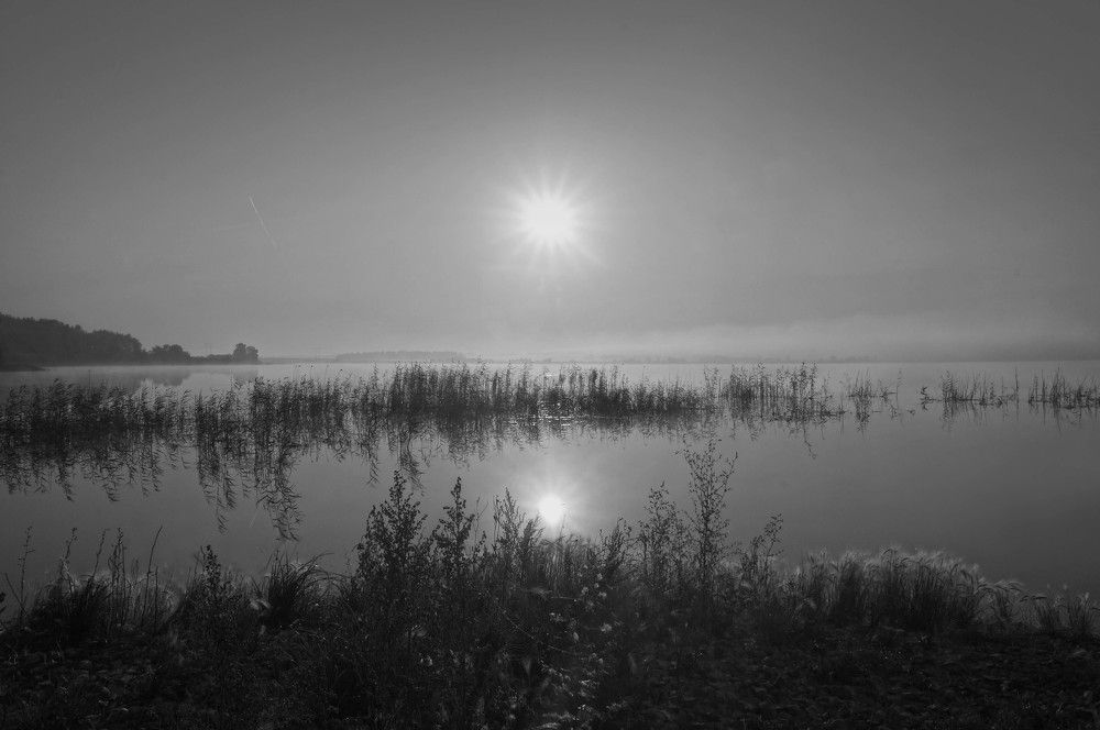 Photograph by Мишустина Татьяна