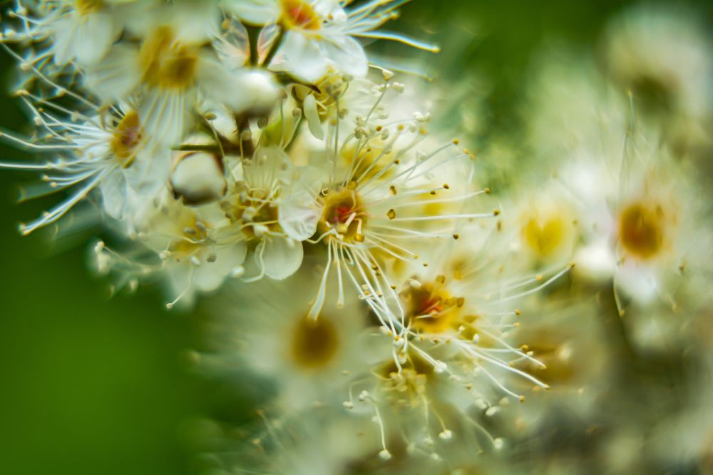 Фотография автора Дмитрий Хань