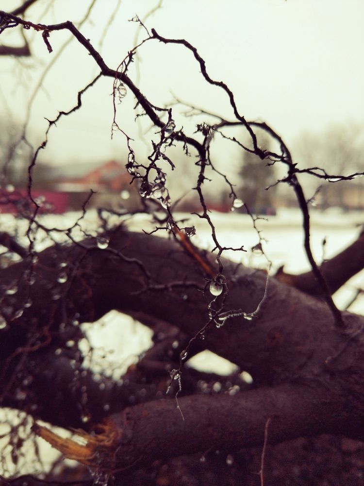 Photograph by Елена Наленч