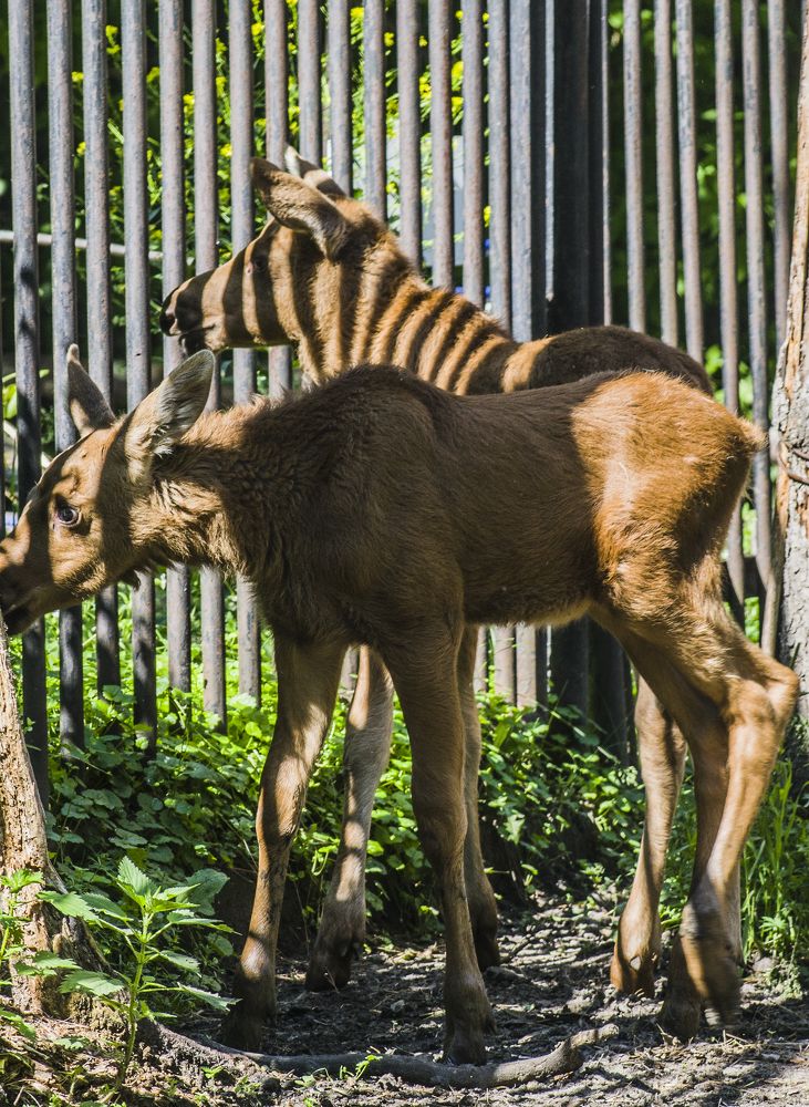 Photograph by Михаил Измайлов