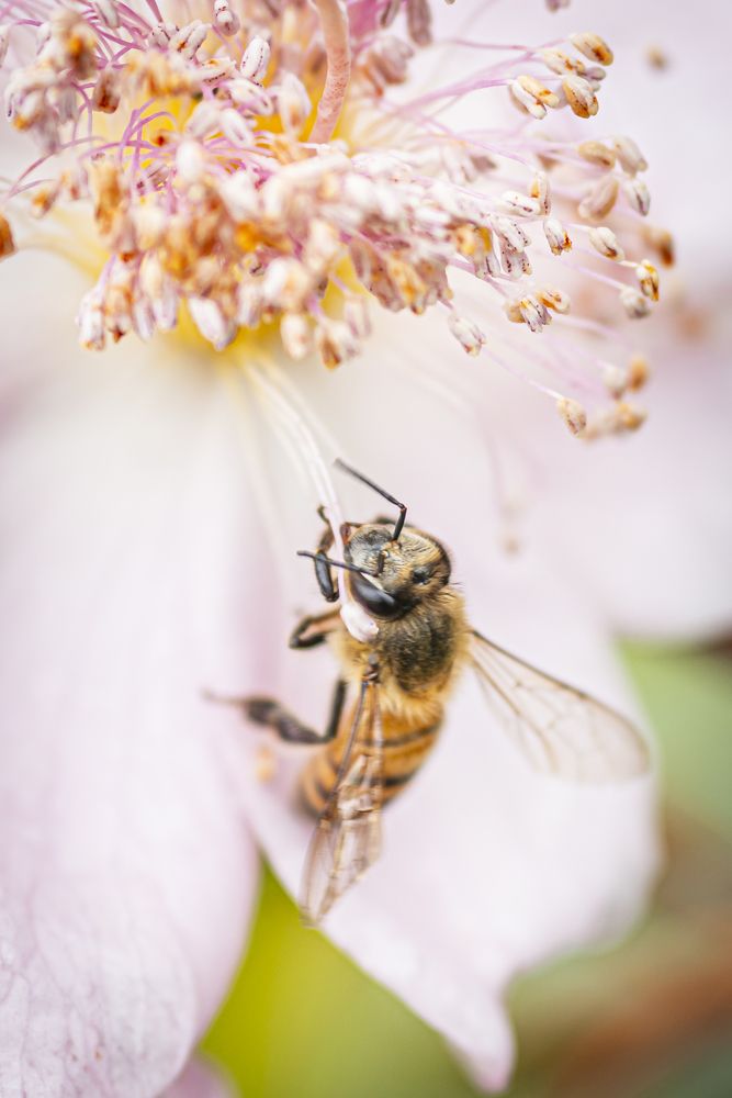 Photograph by Jorge Ivan Vasquez