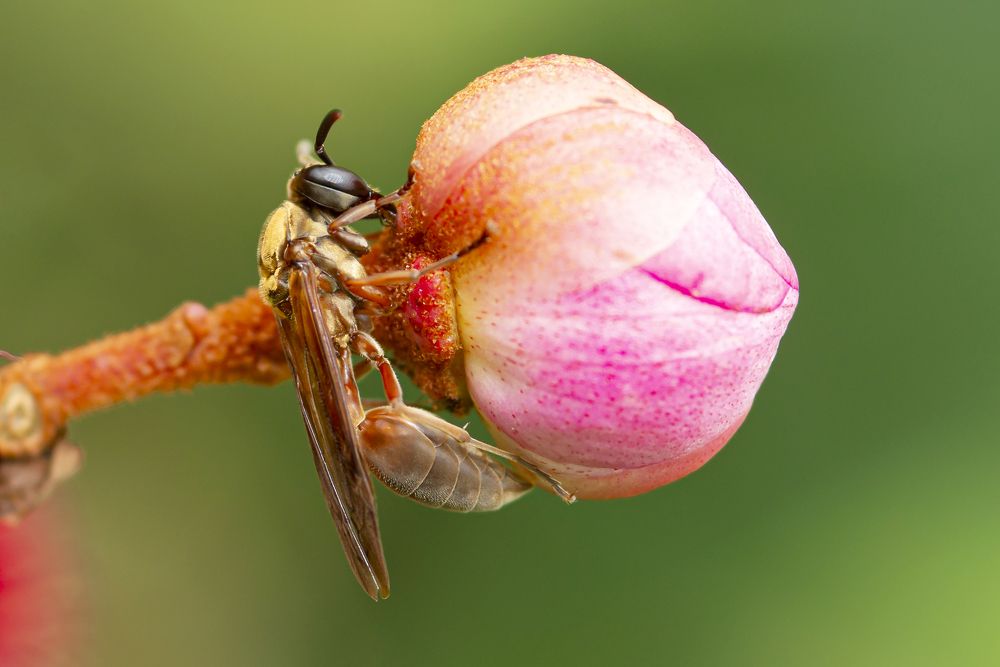 Photograph by Jorge Ivan Vasquez