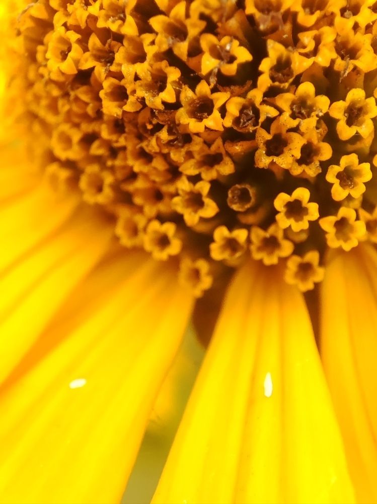 Photograph by Юлия Гинтер