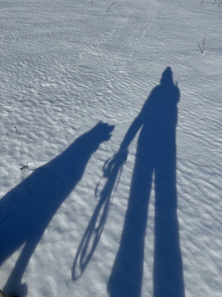 Photograph by Елена Смирнова