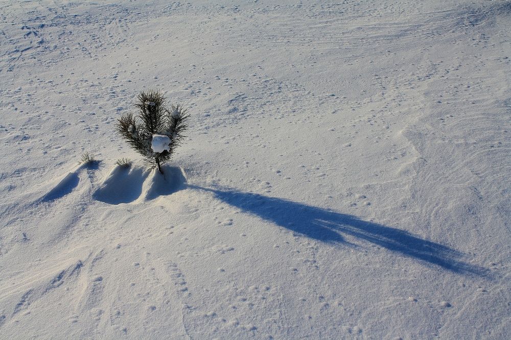 Photograph by Серёга Ануфриев