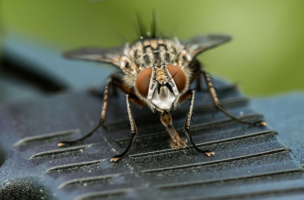 Photograph by Лапин Сергей