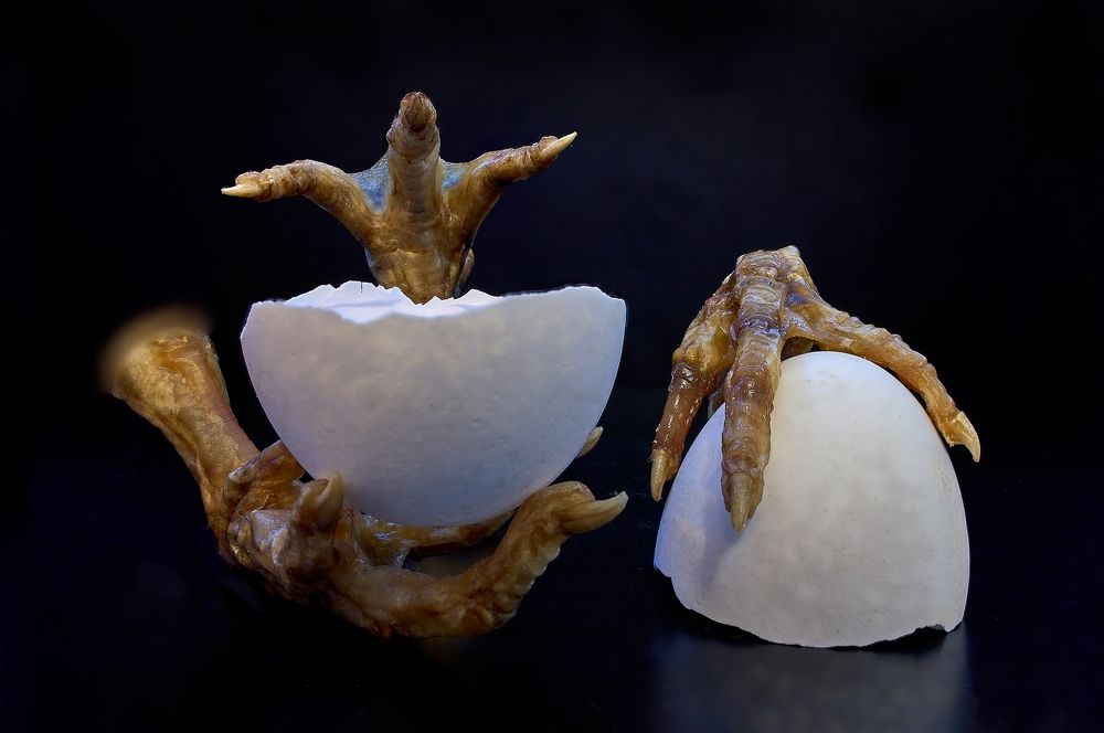 Photograph by Владимир