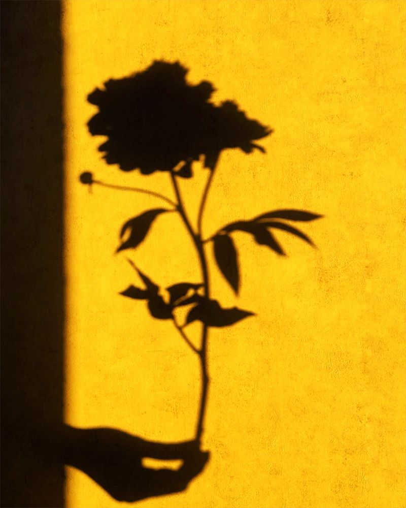 Photograph by Елена Цацулина