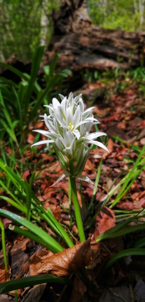 Photograph by Ahmad Yazarloo