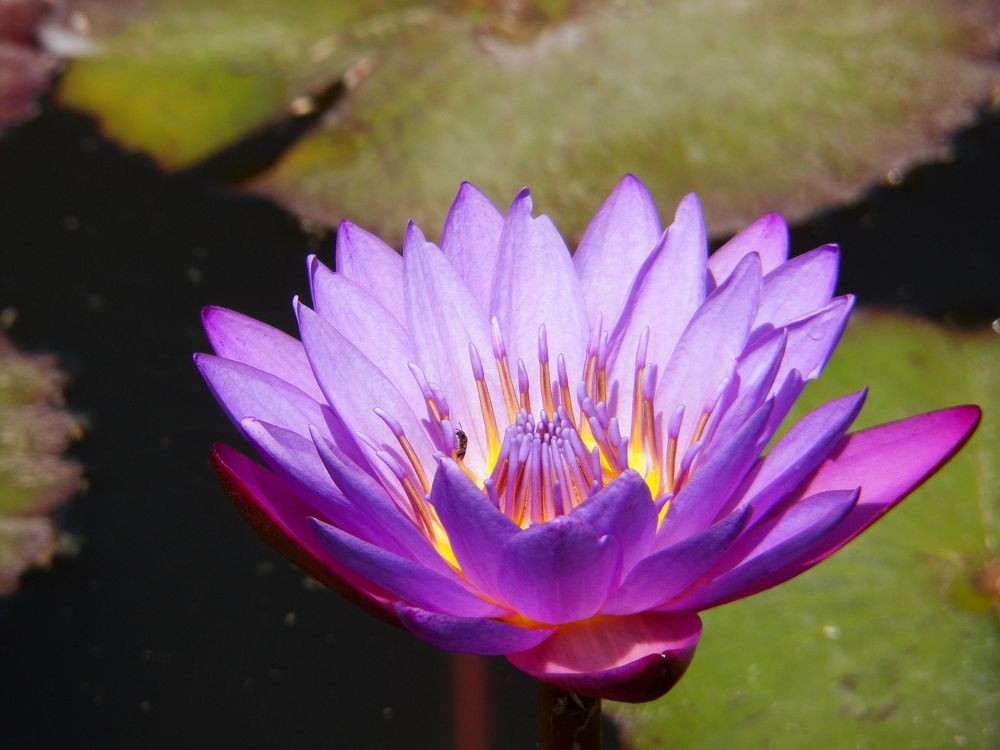 Photograph by Oscar Curo