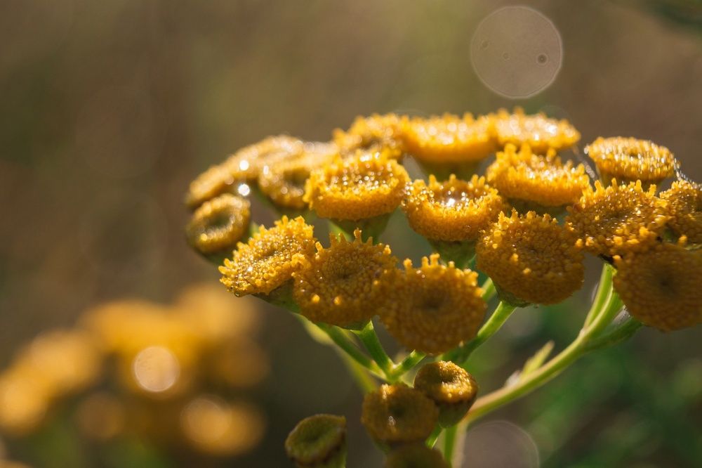 Photograph by Ольга Сергеенко