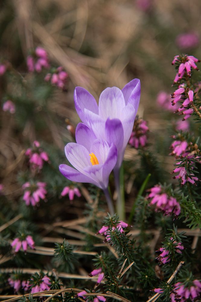 Photograph by Татьяна Алексеева