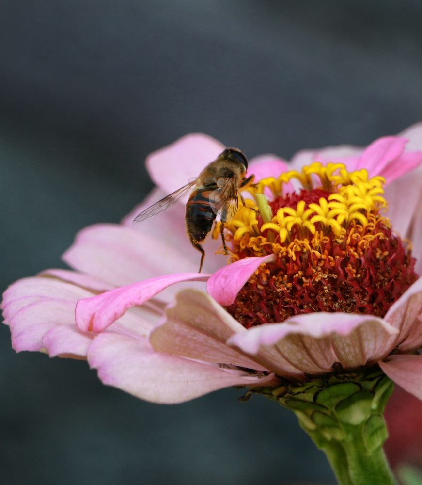 Фотография автора Кристина Тяттэ