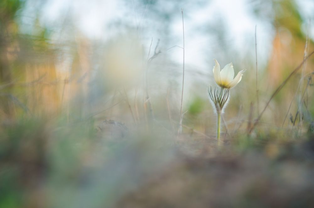 Photograph by Илья Толстоноженко