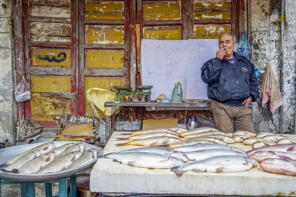 Photograph by Reza Zanganeh