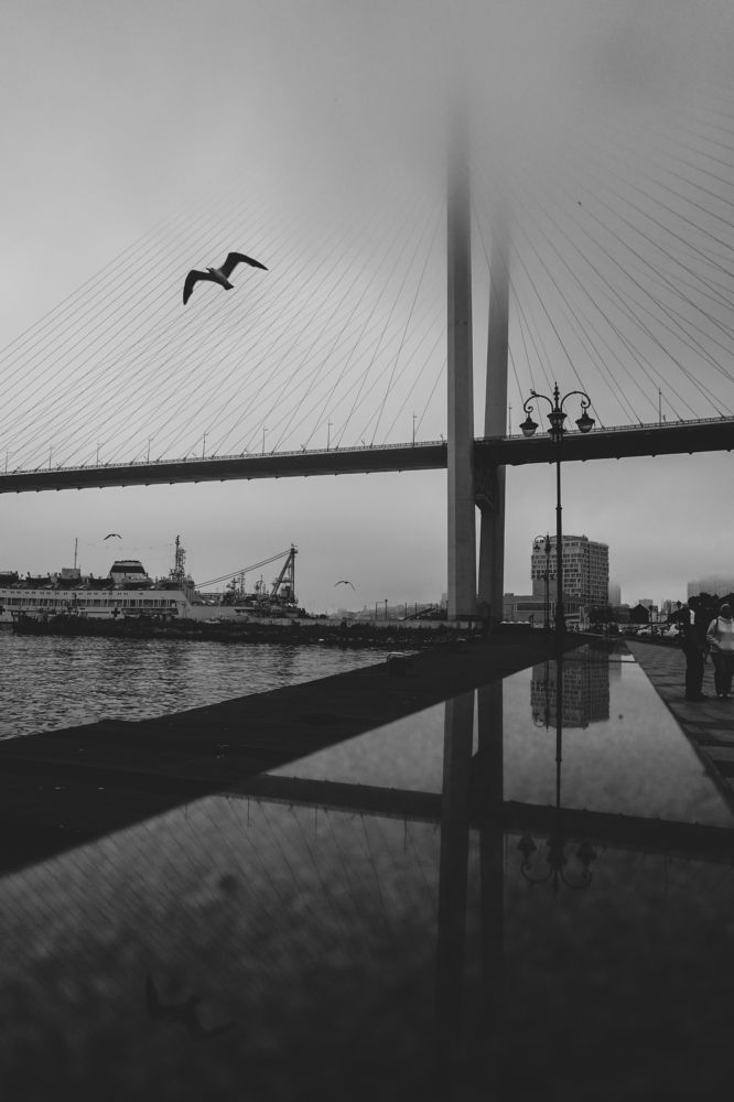 Photograph by Николай Спевак