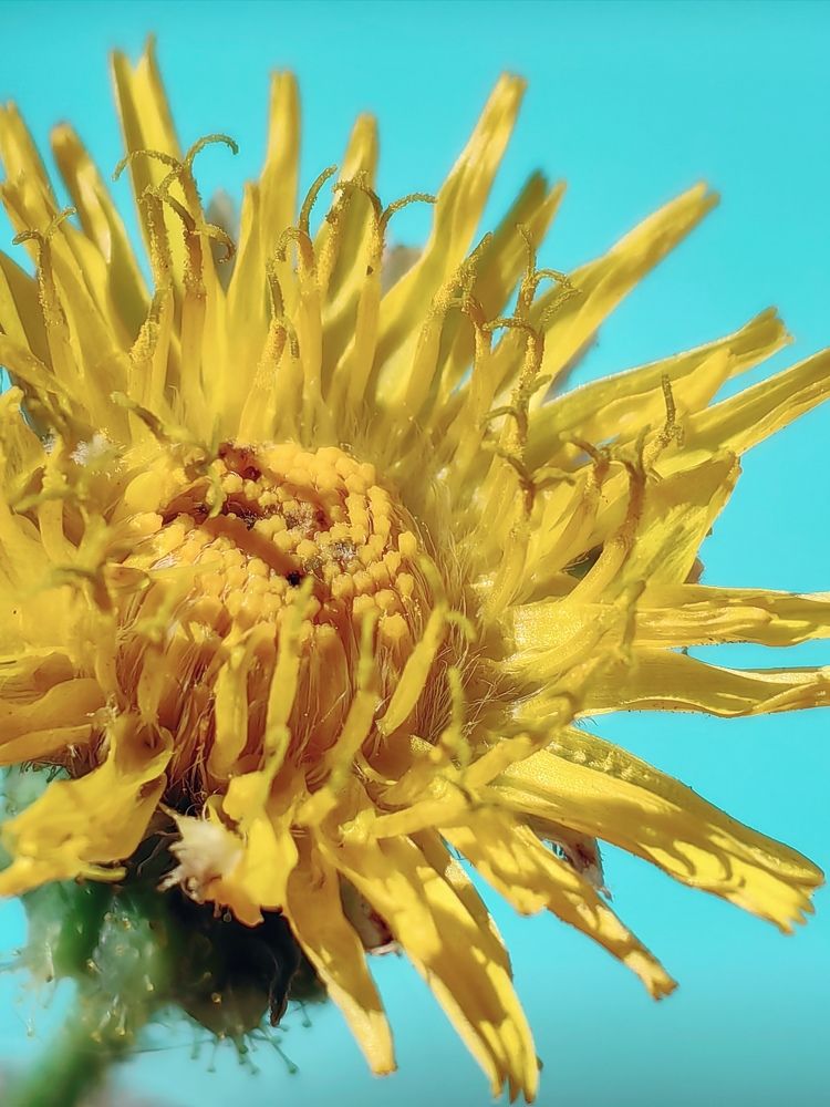 Photograph by Сергей Гриднев